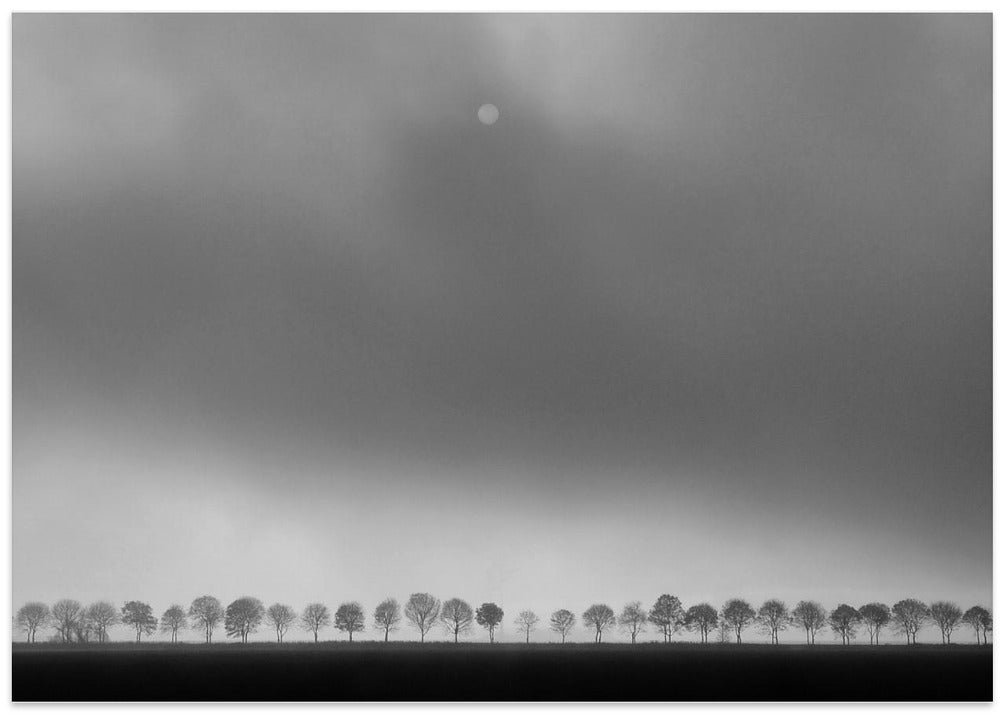 Polderlandscape