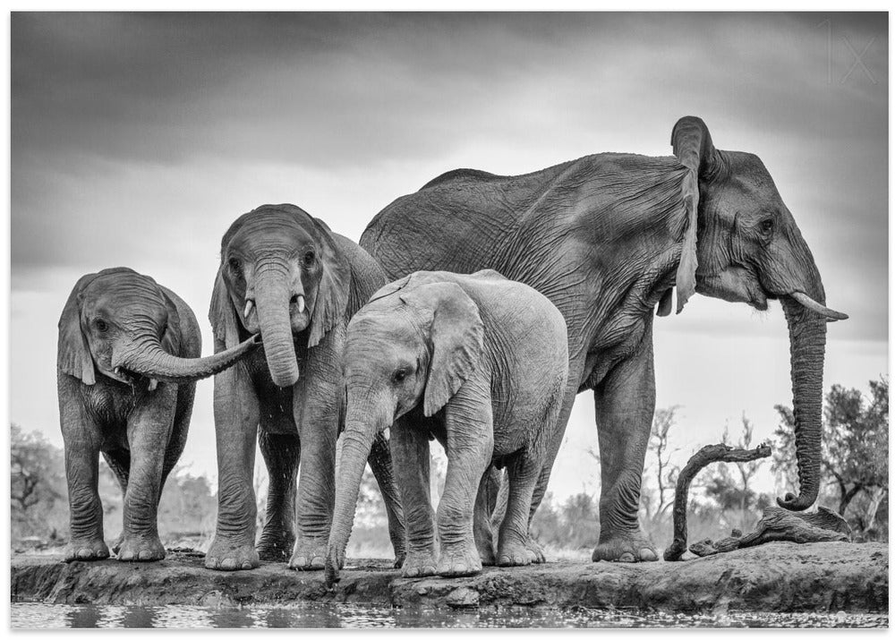 A Giant Unity