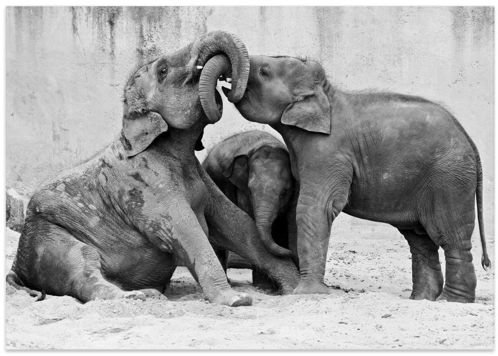 MÉNAGE À TROIS