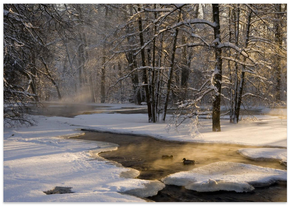 The first light