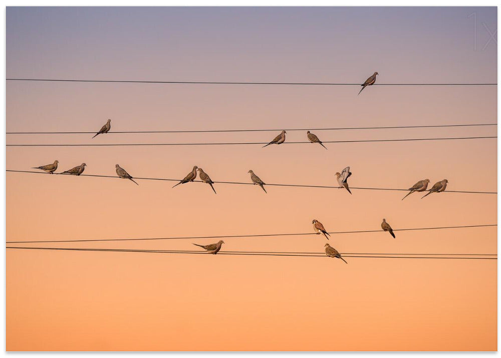 Music of Light