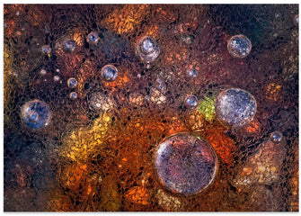 Art Prints of Winter Over Autumn