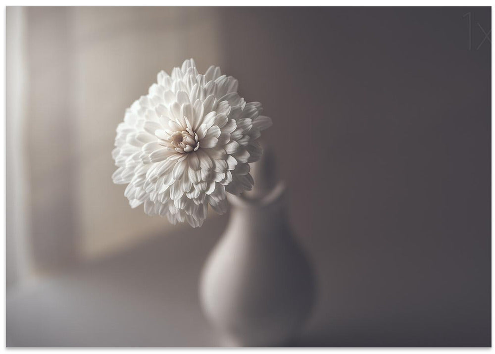 window light