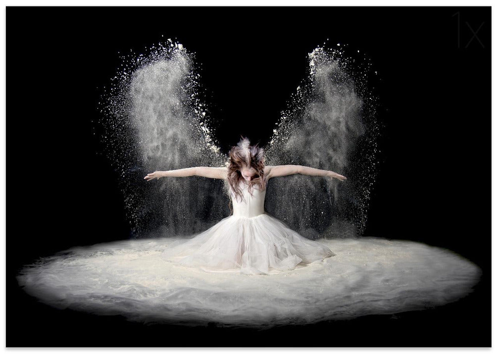 Dust Wings