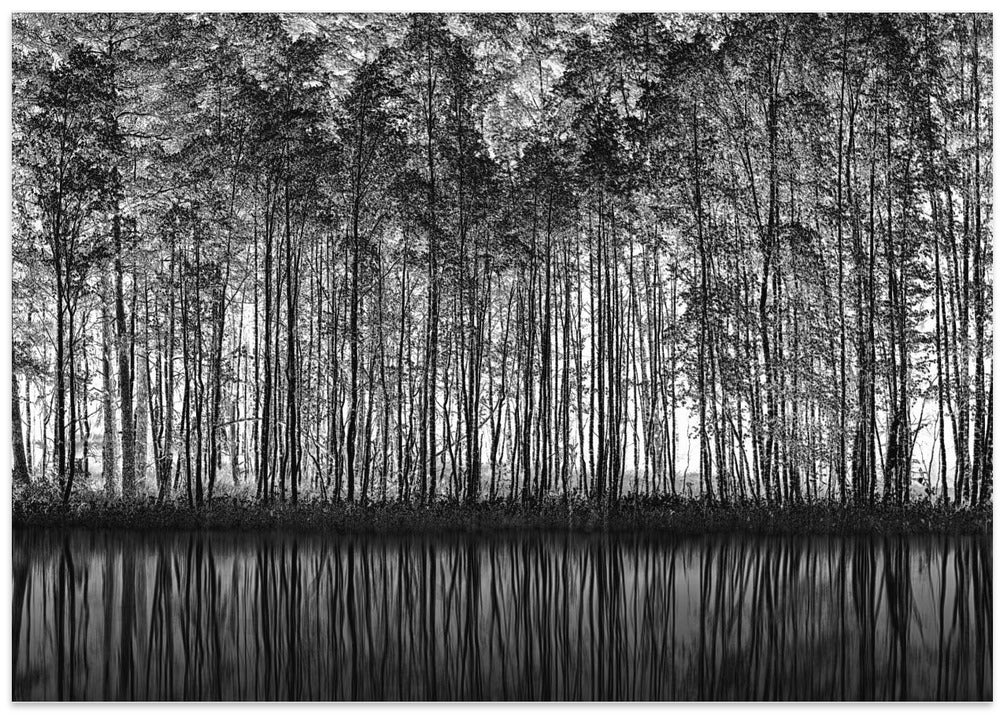 Pointillism Nature