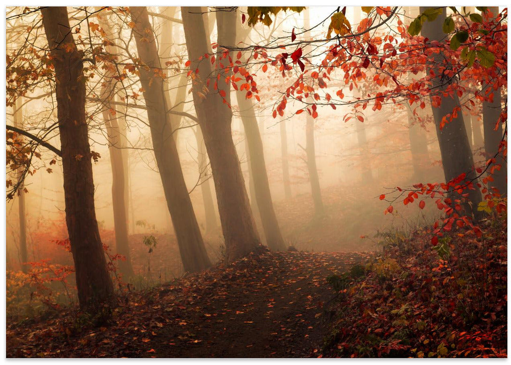 Towards the light.