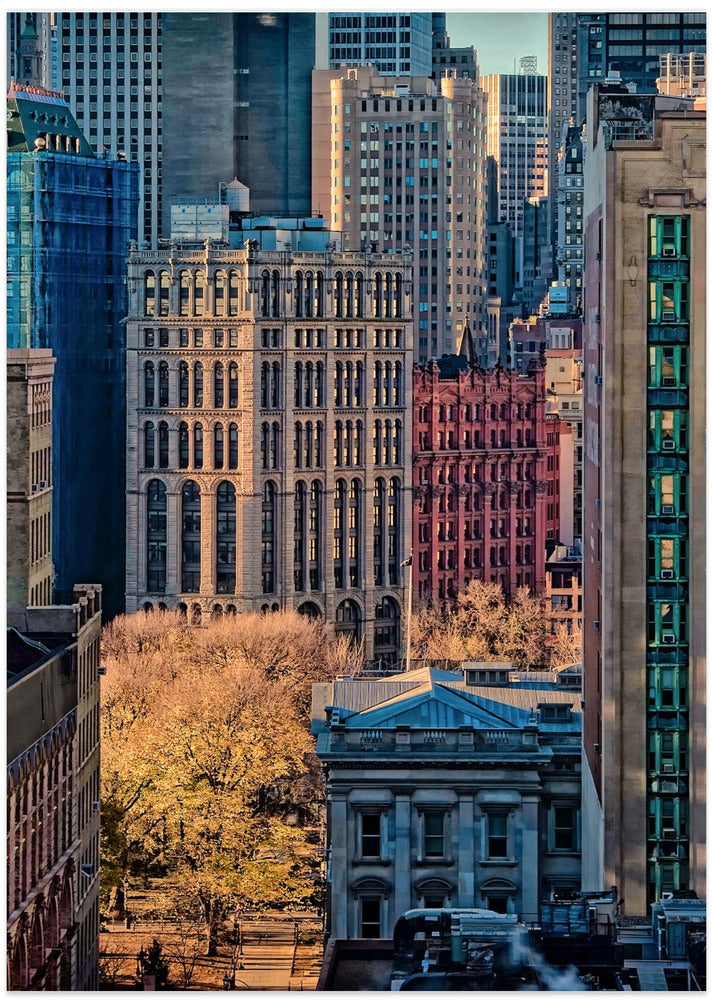 City Life