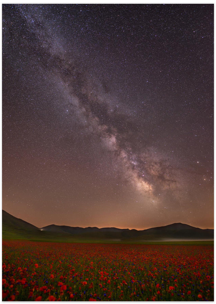Red Meadows