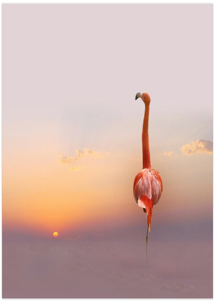 sunset ...