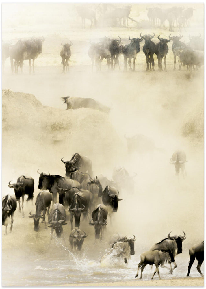 Swarming