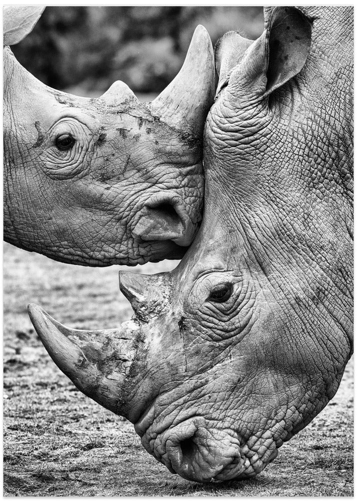 Face to face