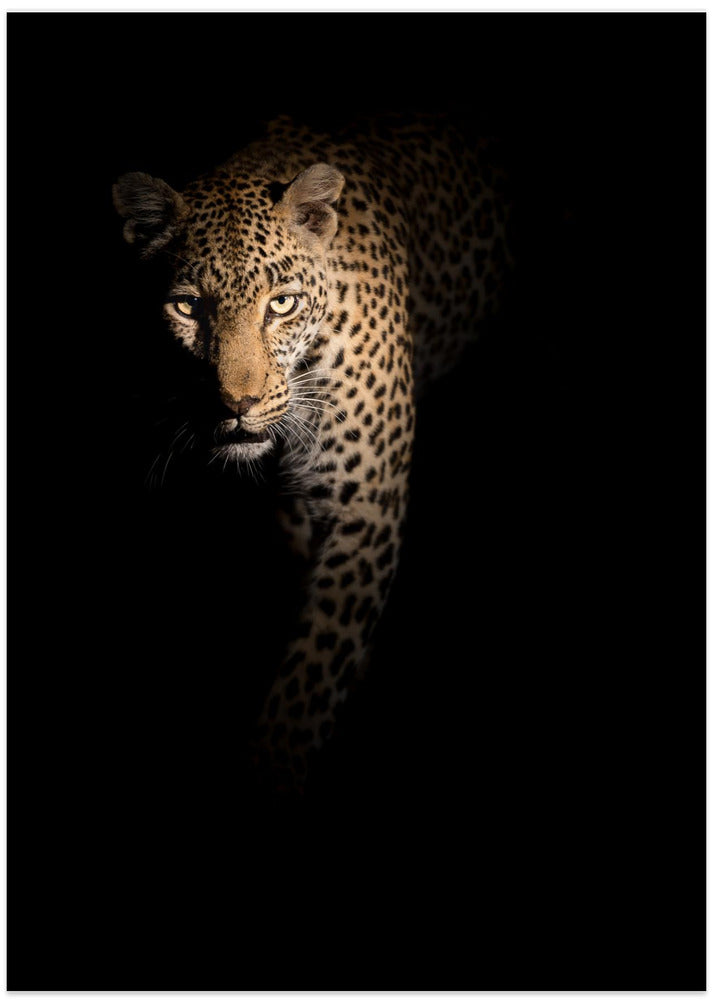 Out of the darkness