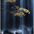 Yellow Autumn