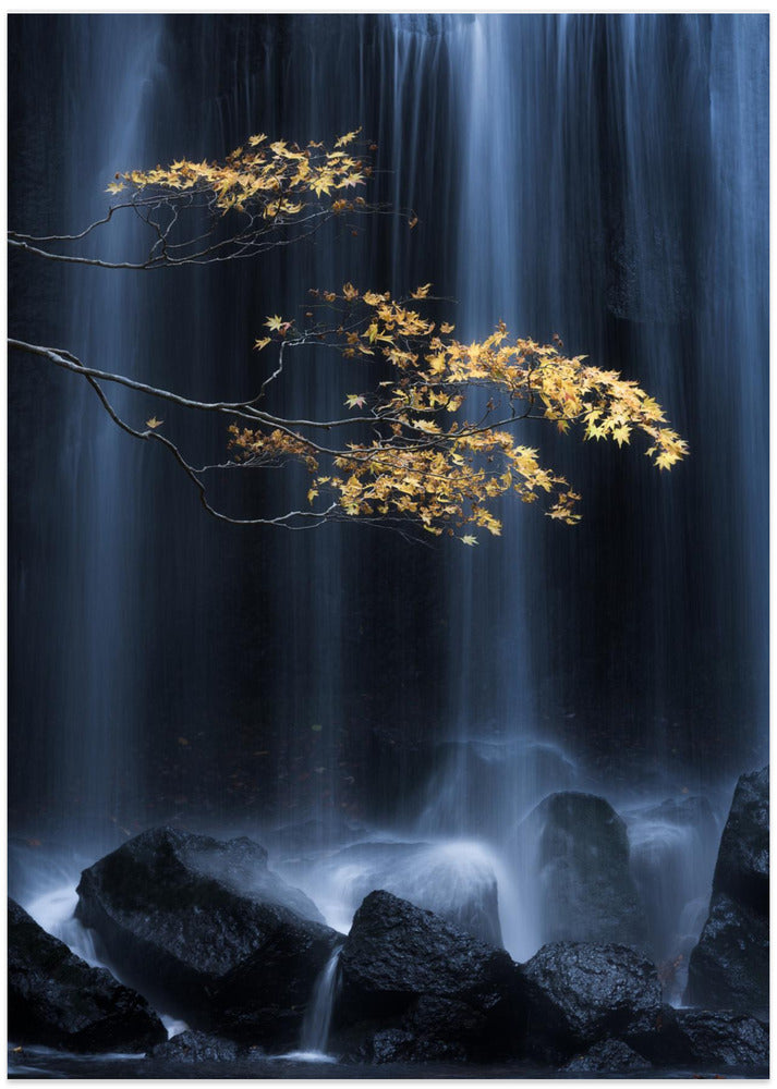 Yellow Autumn