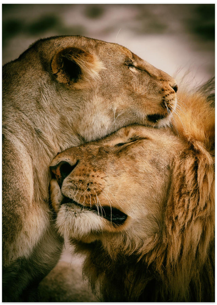 What is love