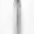 Art Prints of white