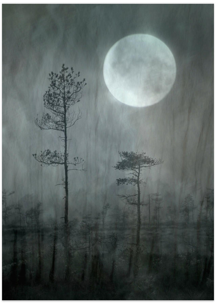 Under the moon