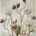 Spring Garden