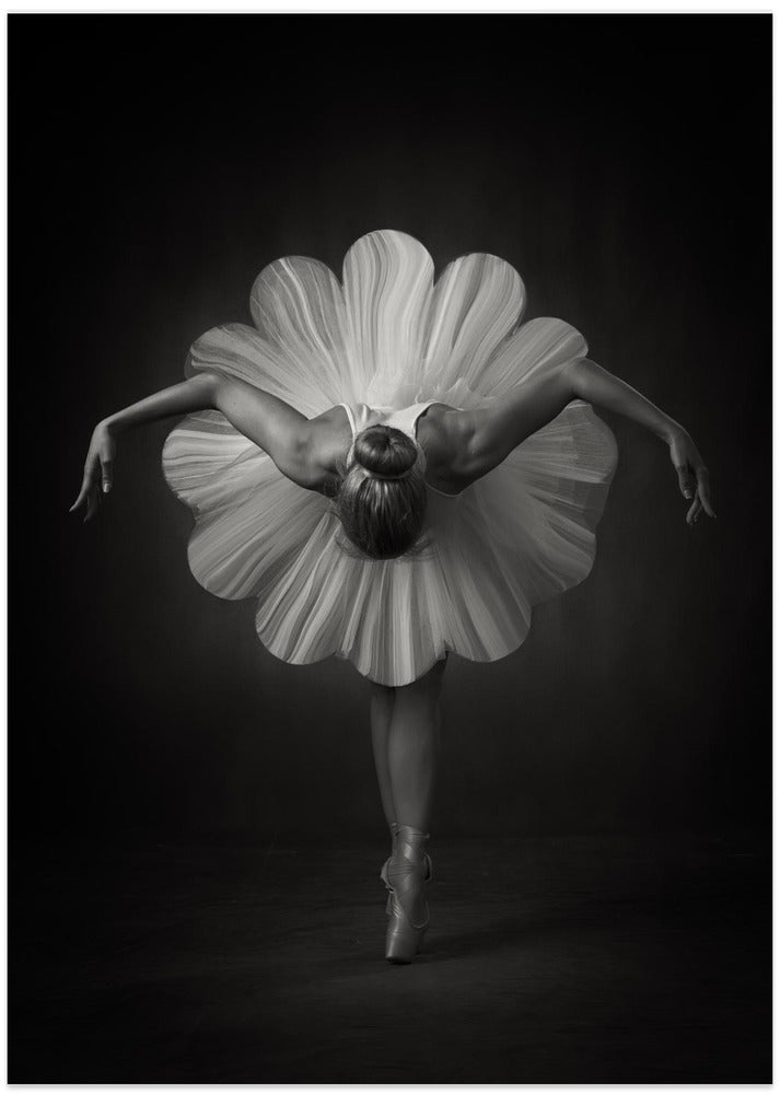 Floral Ballet