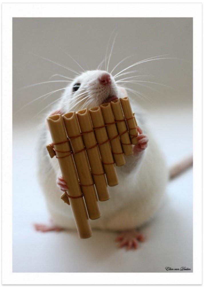 The panflute.