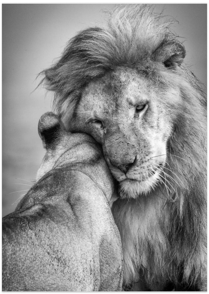 African Love!