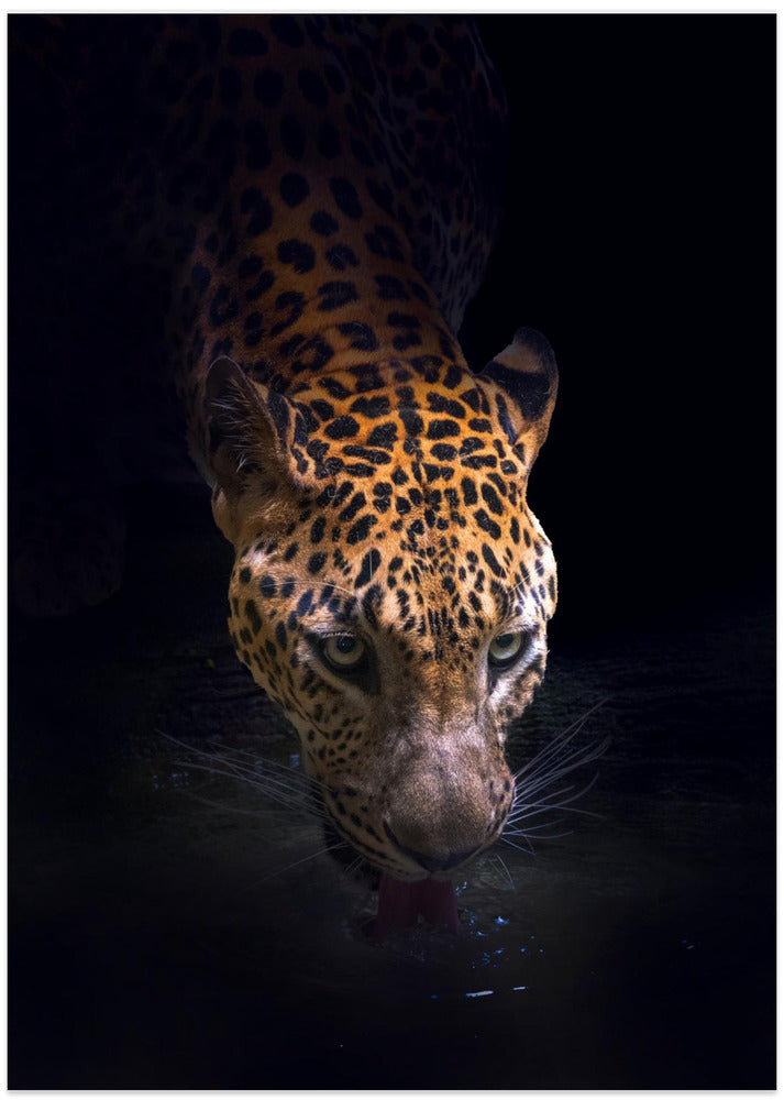 Drinking