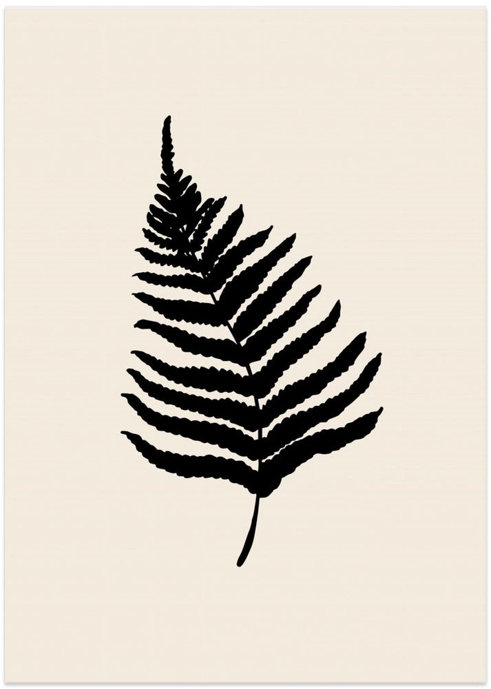 Fern