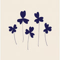 Blue Sorrel