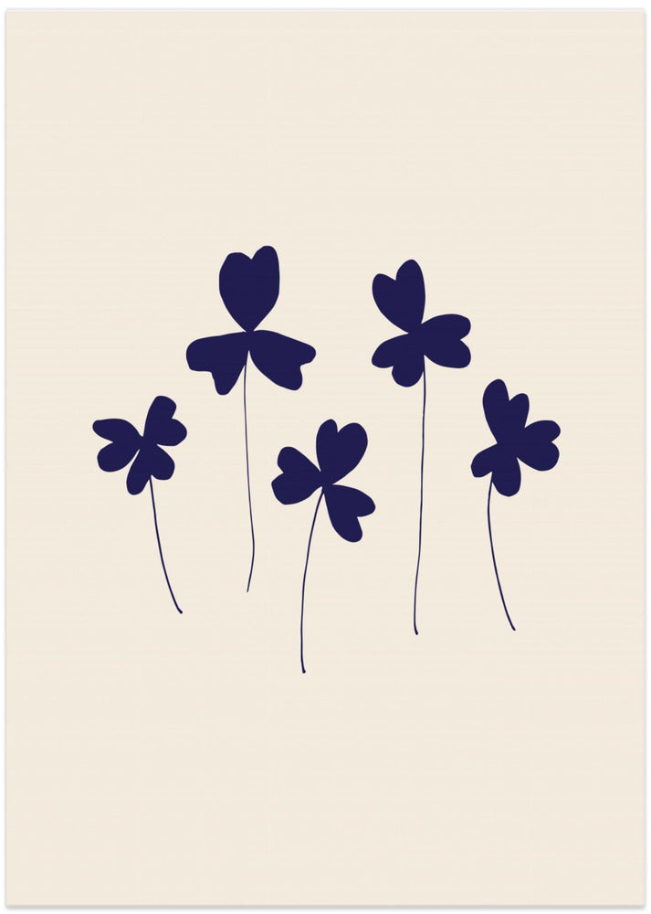 Blue Sorrel