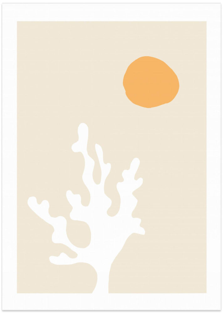 Seaweed in the Sun