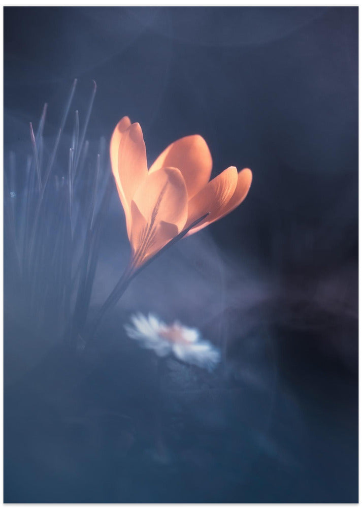 Upanishad