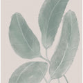 Leaves Watercolor