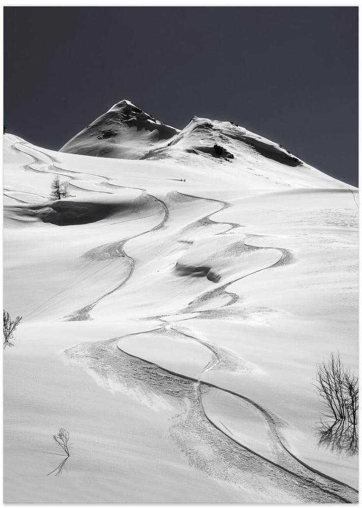 freeride