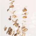 Eucalyptus Creative Gold 03