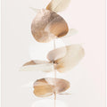 Eucalyptus Creative Gold 04