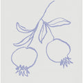 Pomegranate Lilac