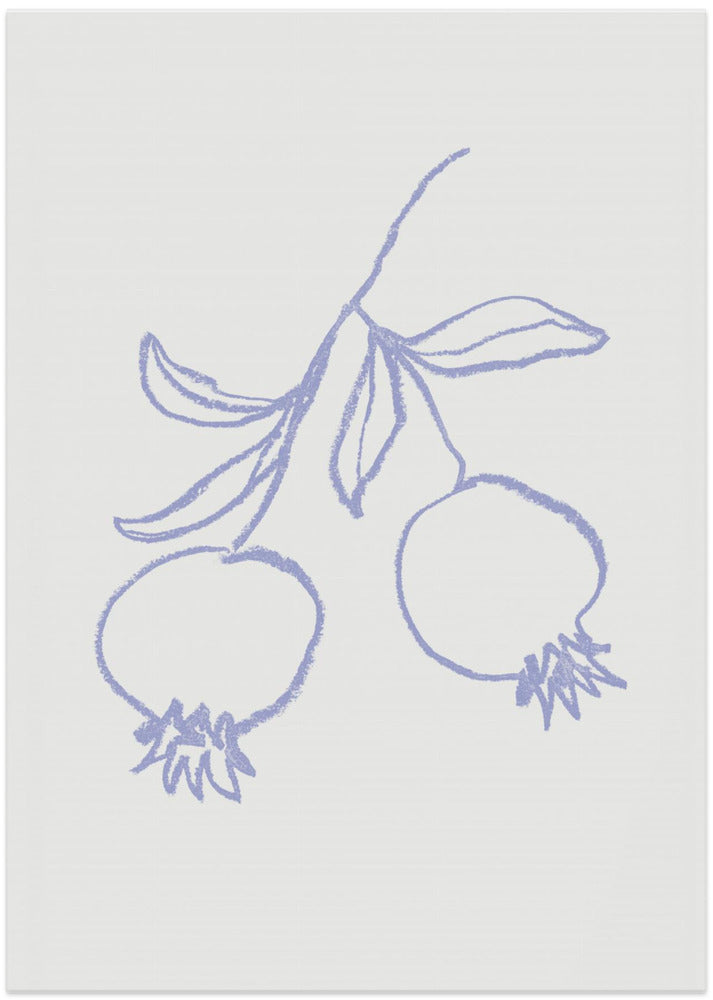 Pomegranate Lilac