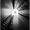 Art Prints of Untitled