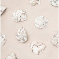 Shells_2