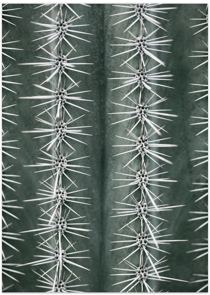 Cactus green