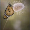 Art Prints of waiting