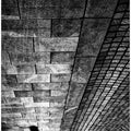 Shadows walk