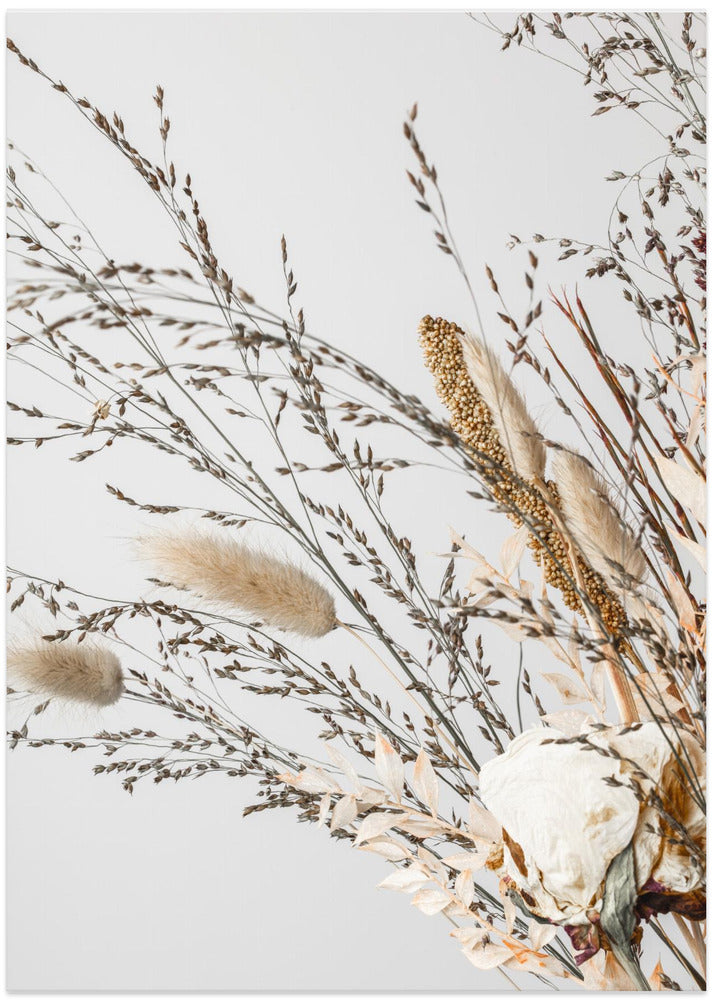 Dried_008