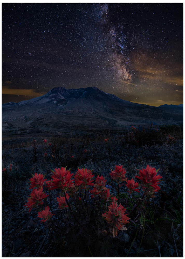 Night Spirit
