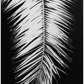 Palmblad_004