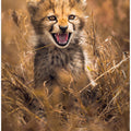 Art Prints of Big Smile