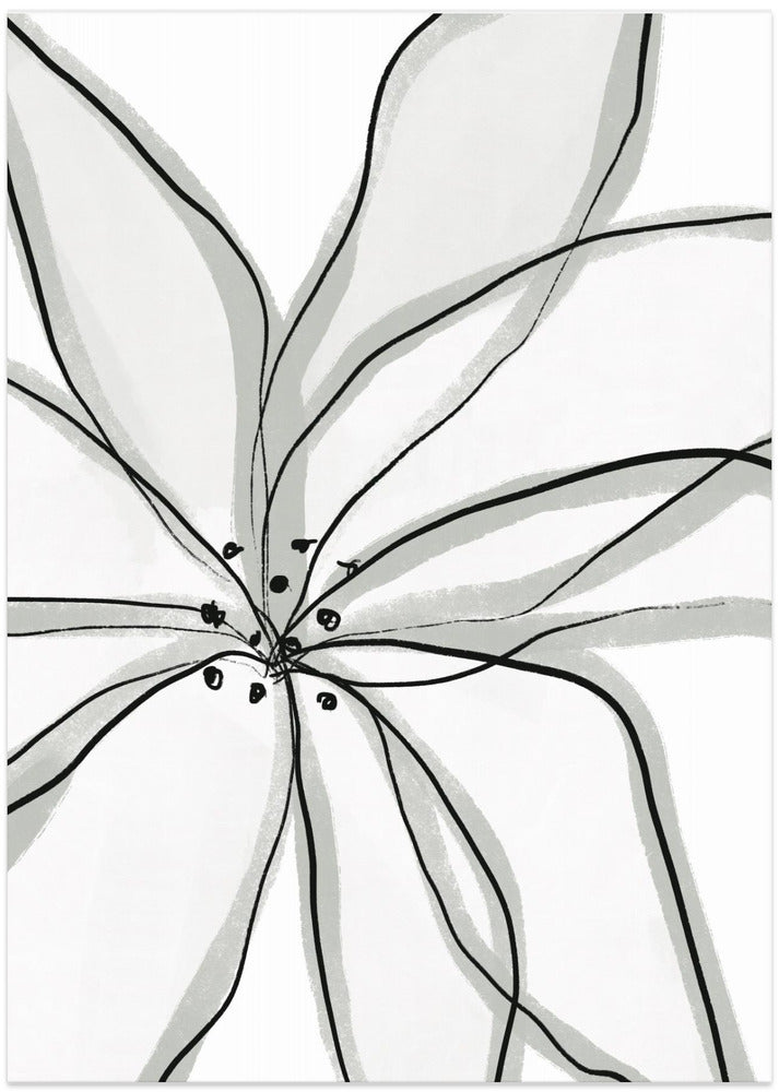 Fragile Flower