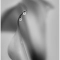 Two Drops