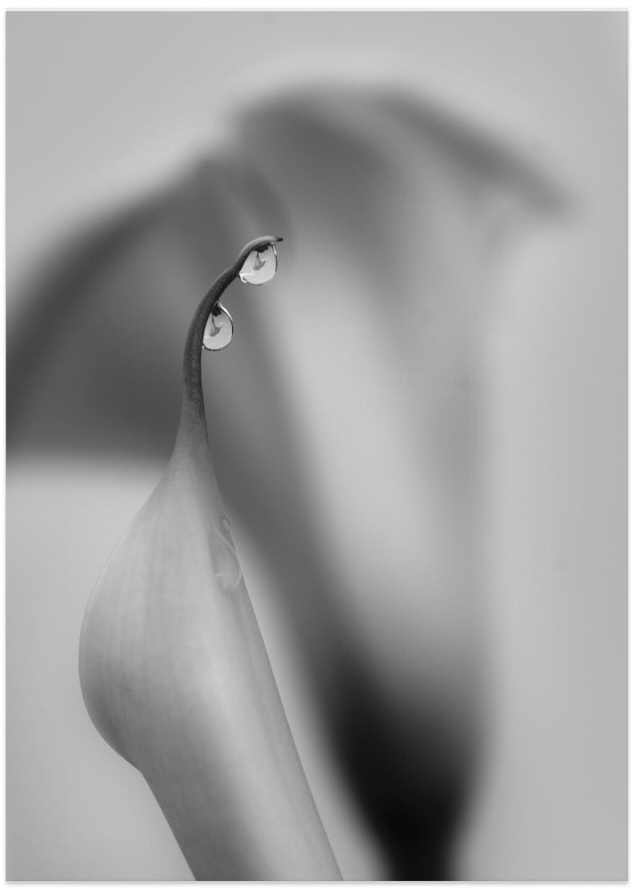 Two Drops