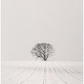 White Desert